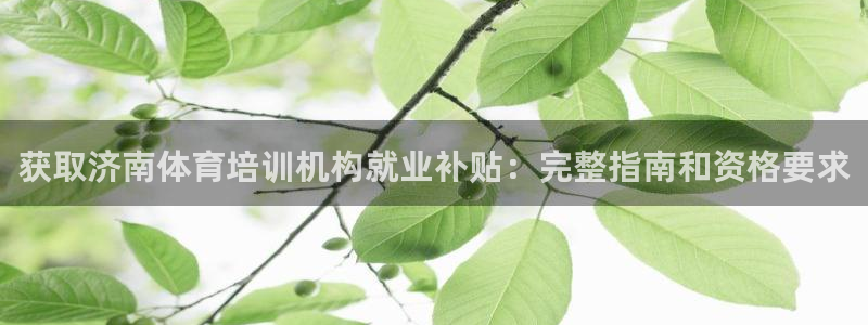 耀世小说全文免费阅读：获取济南体育培训机构就业补贴：