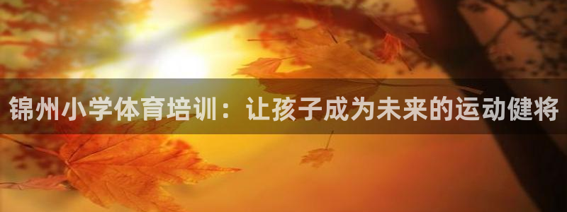 耀世集团董事长儿子：锦州小学体育培训：让孩子成为未来